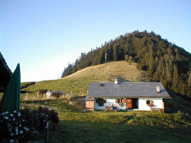 Appartements Ferienwohnungen Alpenblick Faistenau Extérieur photo
