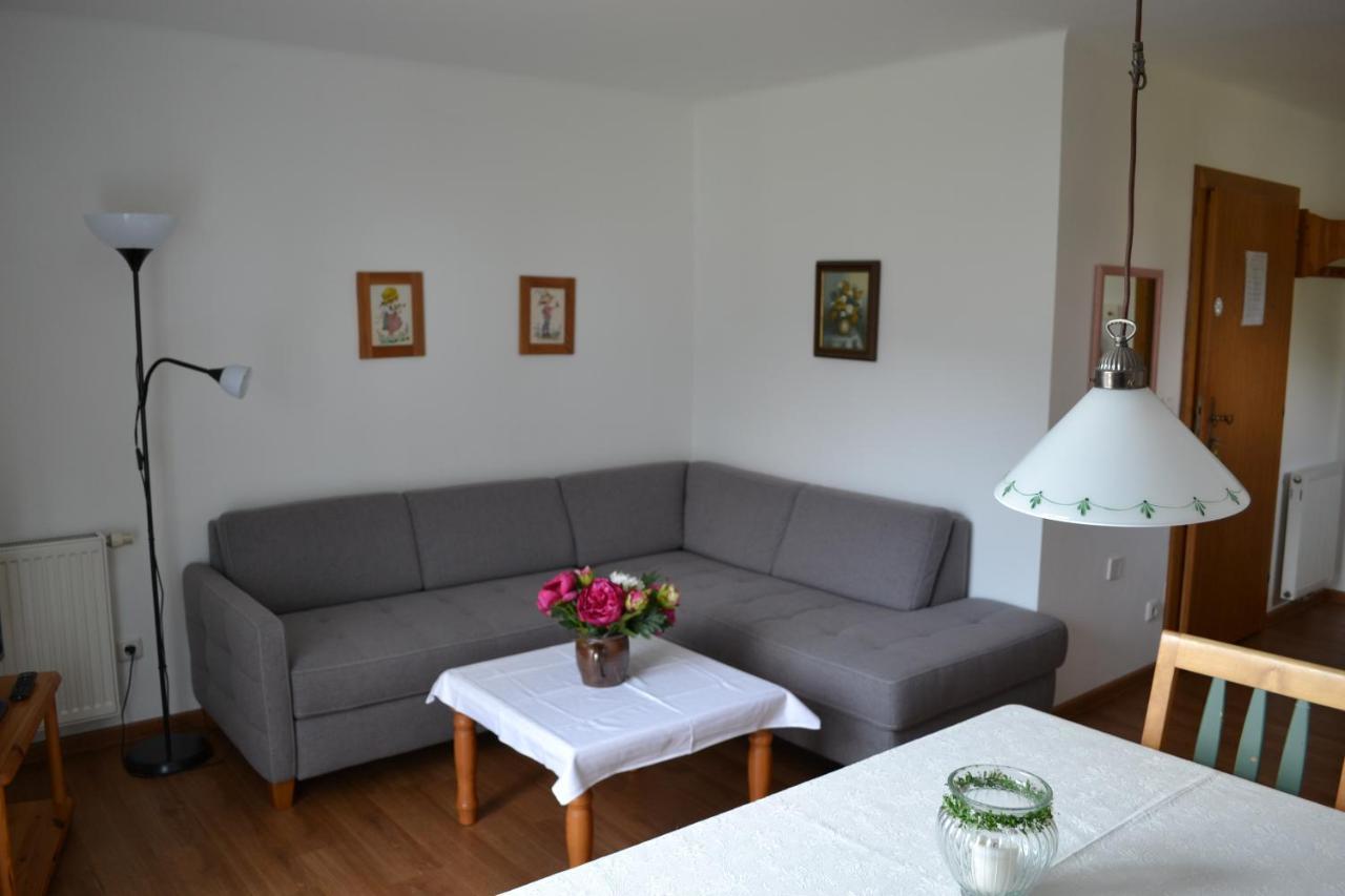 Appartements Ferienwohnungen Alpenblick Faistenau Extérieur photo